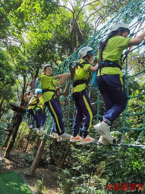 青少年户外运动推广，夏令营与探险活动组织锻炼意志，培养团队合作精神。